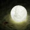 LED Book Light Moon Light Star Lamp DIY Moon Night Light Child Birthday Gift Bedroom Decoration Night Light Atmosphere Lights