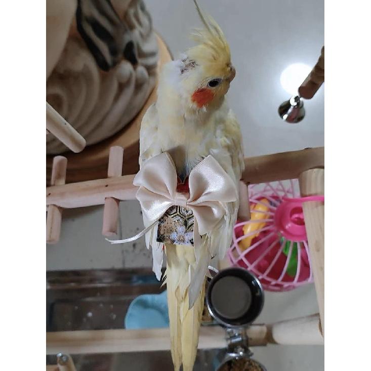 Bird Flight Suits Diapers, Parrot Diapers for Monk Parakeets, Cockatiels Flight Suits, Parrot Clothes, Bird Training Nappy Suit Liners Clothes