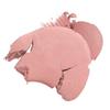 FWEE Blush double doux (12 couleurs)