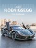 Koenigsegg 1:24 Alloy Supercar Model: Large Children's Toy & Collectible