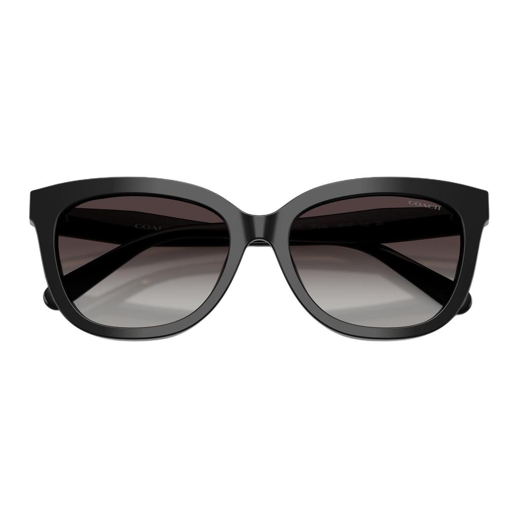 COACH Sunglasses Women's 0HC8453U50028G56