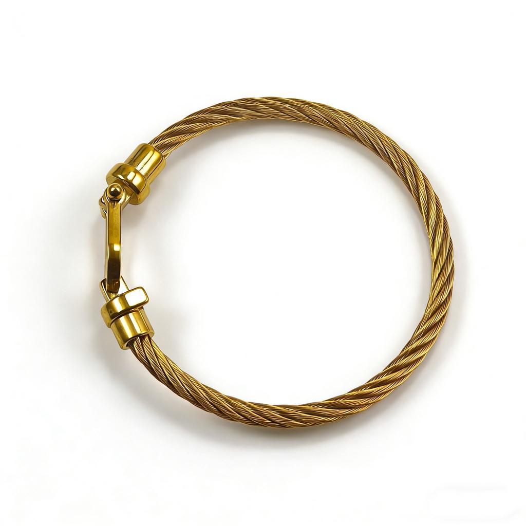 2026 Fashion Trend European and American Horseshoe Magnet Buckle Steel Wire Bracelet Jewelry