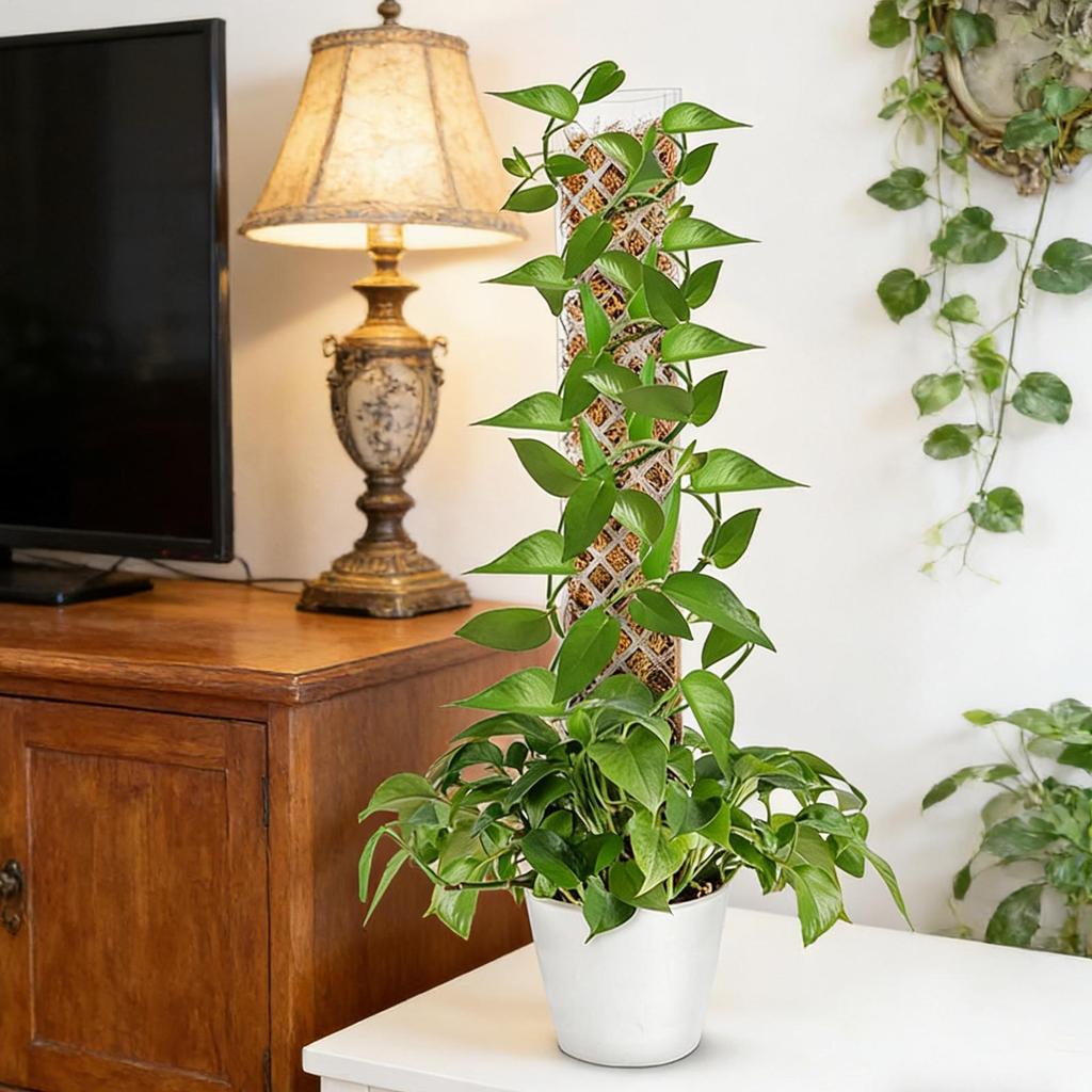 4pcs Plant Moss Pole Indoor Moisture Retention Stackable Transparent Monstera Plant Support Moss Stick Help Plants Grow upwards