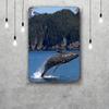 kenai fjords national park Decor Poster Vintage Tin Sign Metal Sign Decorative Plaque for Pub Bar Man Cave Club Wall Decoration