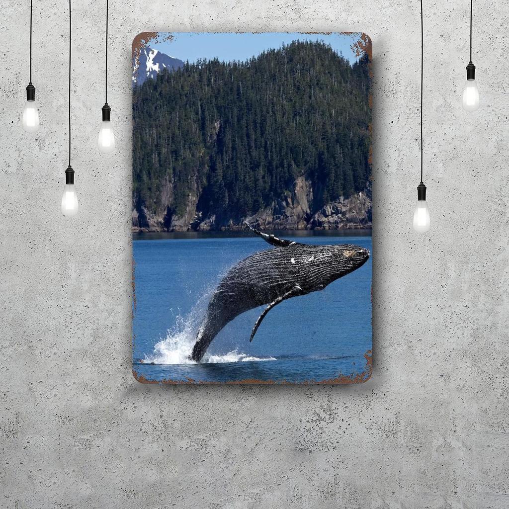 kenai fjords national park Decor Poster Vintage Tin Sign Metal Sign Decorative Plaque for Pub Bar Man Cave Club Wall Decoration