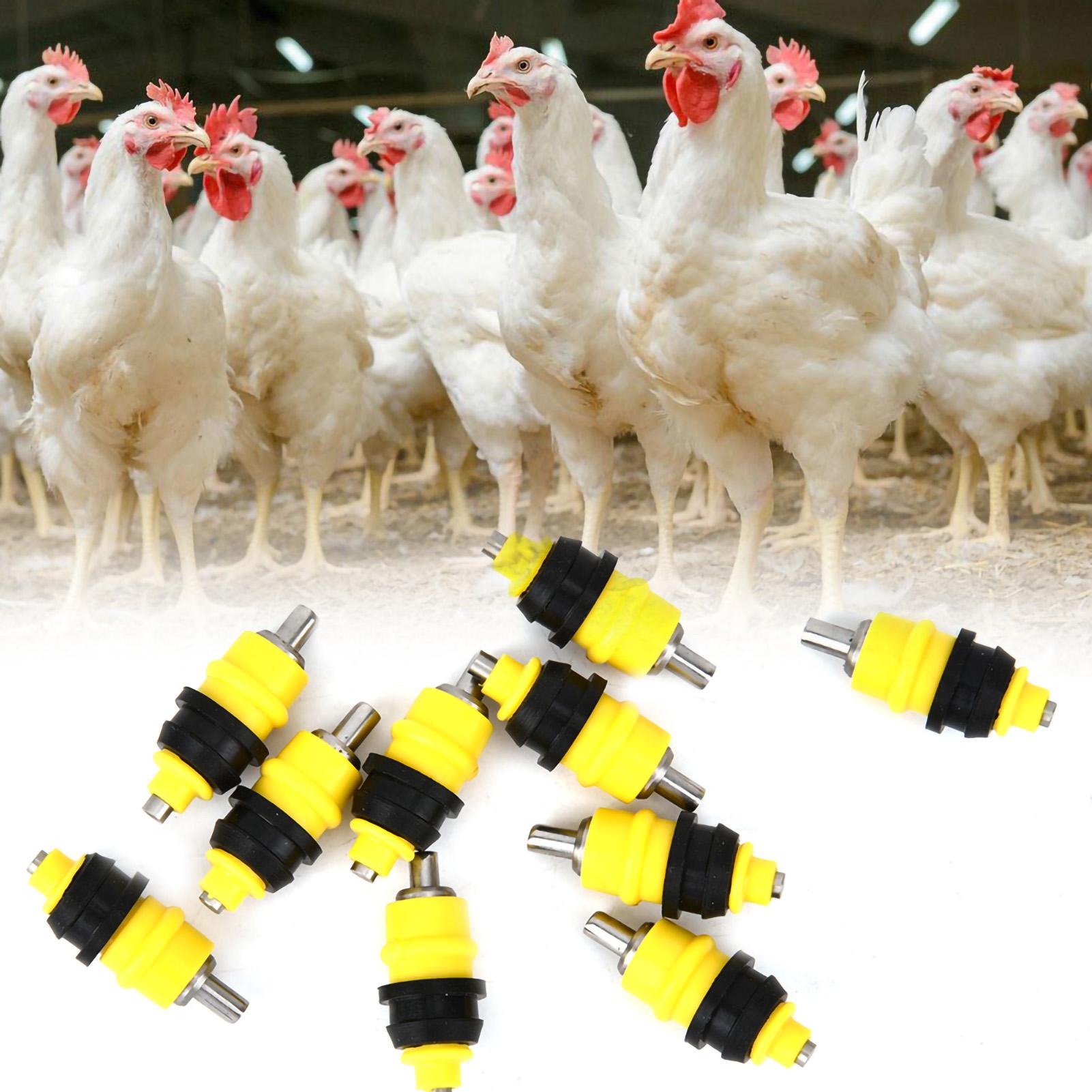 

10Pcs Chicken Hen Automatic Drinking Nipples Poultry Water Drinker