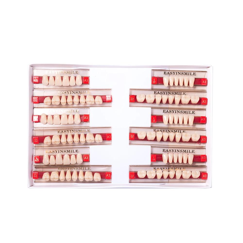 16/12 Sätze/Karton Zahnprothese Zähne Oberkiefer Frontzähne Unterkiefer Seitenzähne Dentier Synthetisches Polymerzähne Zahnmedizinische Ausbildungsmodell