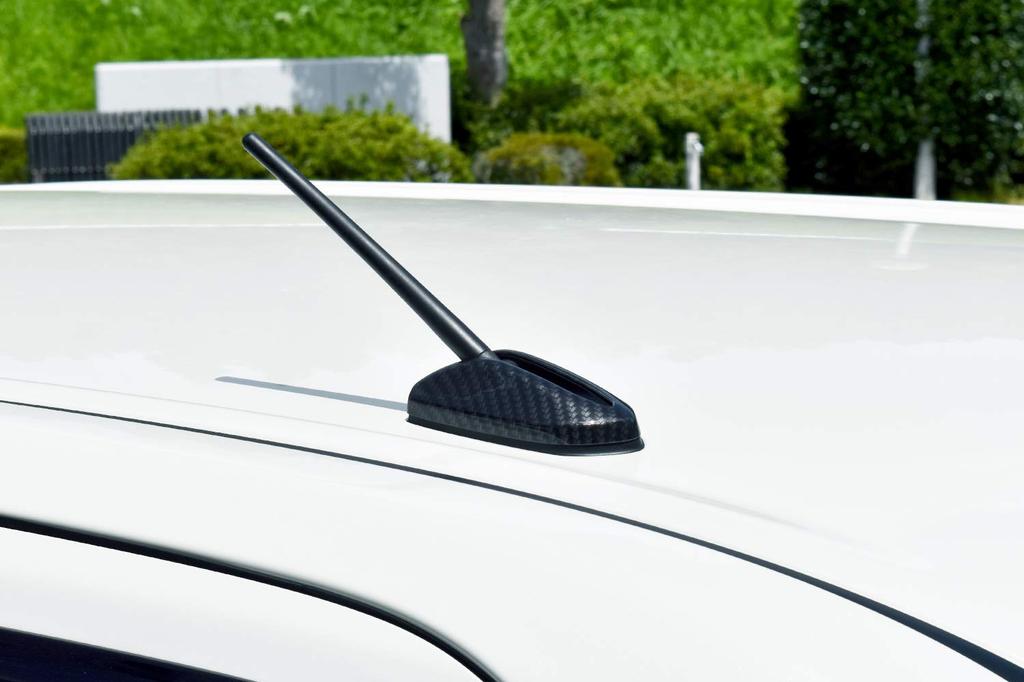 SecondStage Toyota Tank/Rumi Antenna Base Panel Digital Carbon T416DCB