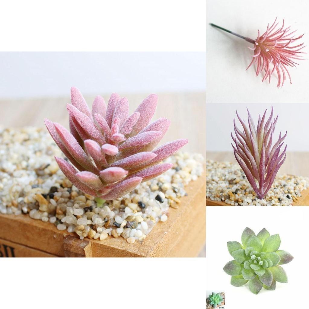 Wunderschön gearbeitete Mini-Künstliche Sukkulenten für Lebensechte Heim- und Bürodekoration