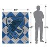 Harry Potter Ravenclaw Blanket