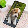 Beagle Puppy Dog print Phone Case for Samsung Galaxy note 10 pro S26 Ultra S23 S24 FE S25 S21 S22 PLUS shockproof Cove