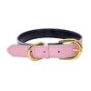 Animals & Pet Supplies > Pet Supplies > Pet Collars & Harnesses