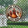 Cool Chicks Live Here Funny Chicken Farmhouse HighDefinition Metal Tin Sign D Flat Products Design with Enhanced Depth Art