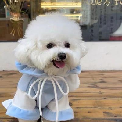 Ropa divertida para mascotas de otoño/invierno, muñeco de perro, sudadera con capucha con orejas de conejo de peluche, sudadera con capucha de oso de peluche, ropa linda, ropa para cachorros