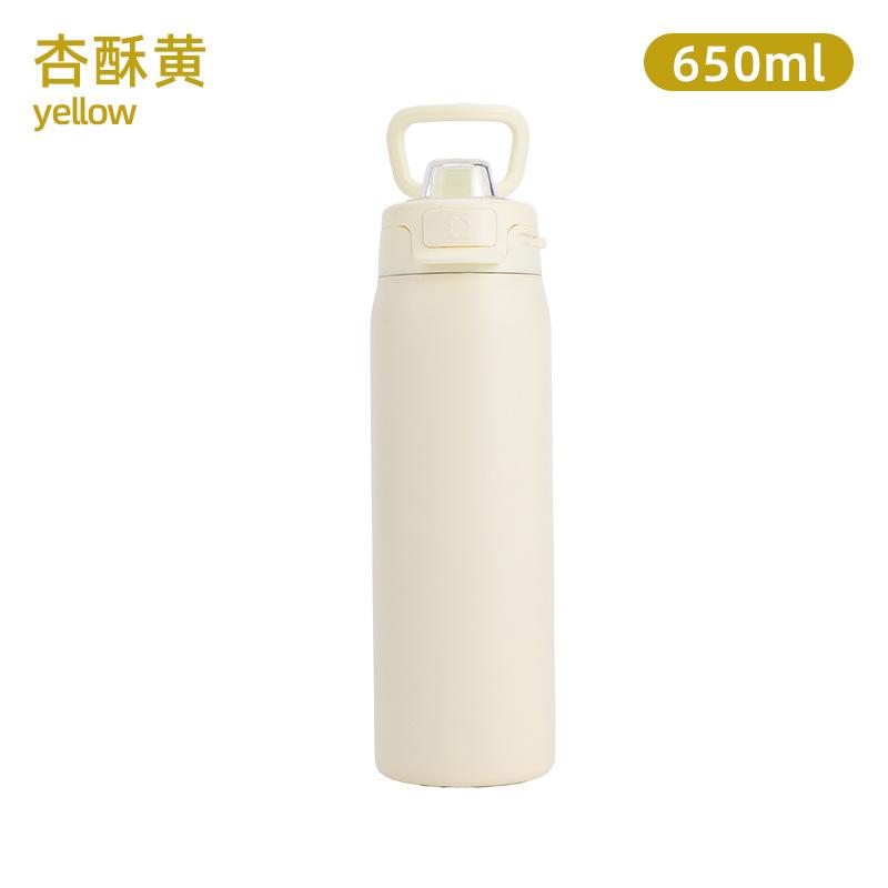 22oz 304 Stainless Steel Vacuum Thermos Bottle Dual Drinking Portable Handle Water Bottle Travel Car Sports Tumbler