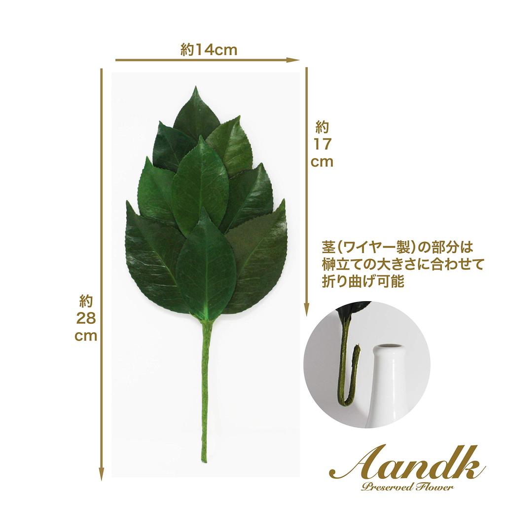 [A&K] Shinto Shrine Altar, Kiwami Sakaki S, Sakaki Stand Set, Tanba Camellia Leaves, Japanese Cypress, Preserved Sakaki, Never Withers, No