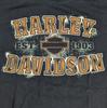 Harley Davidson Motorcycle 50th Anniv Frieze O'Fallon Illinois T-Shirt Mens XL