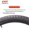 CST Pilgrimage Mountain Bicycle Tire