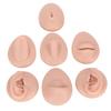 Soft Silicone Body Part Model, Piercing Practice Model Simulation Silicone Ear Eye Nose Mouth Tongue, Belly Button Model Safety Pierce Tool for