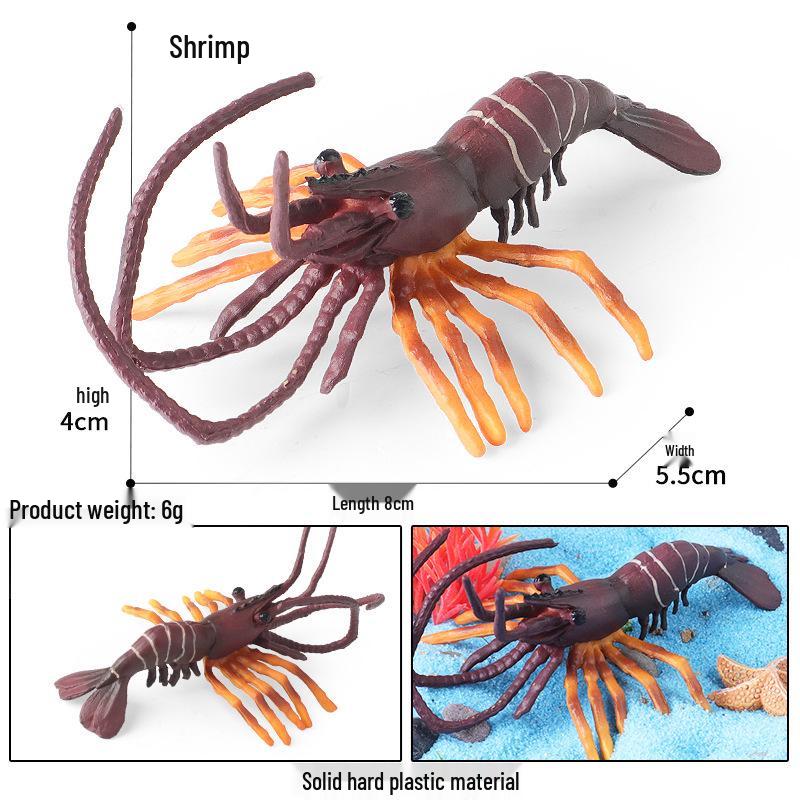 Cross-border Marine Life Simulation: Tiger, Red & Green Prawn Models for Children s Cognitive Learning