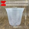 Pothos Transparent Self-Watering Anti-Root Rot Hydroponic Pot