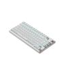 Wired Connection Gaming Mechanical Keyboard Compact Layout Ultra-Quiet Mechanical Feel Keyboard 75 Layout
