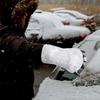 Car Windshield Ice Scraper Bear Claw Mitt Waterproof Snow Shovel Brush With Warm Gloves Scratch-Free Snow Removal Tools