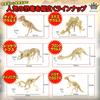 Mikuru 3D Wooden Dinosaur Puzzle Colored and Craft DIY Toy for Kids and Educational Model Decorative Dinosaur Dinosaur Set of Set, Colorless, Kit,