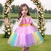 Children's Color Block Mesh Princess Dress for Special Occasions