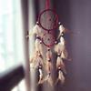 Double Circle Dream Catcher with Feathers Hanging Decoration Bedroom Ornament Purple