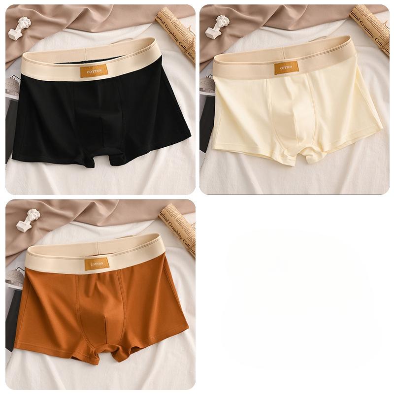 Luxury Men Underpants Man Cotton Breathable Comfortable Boxer Selling Shorts Men's Panties Plus Size Panties Underwear Gift