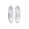 Air Jordan Golf ADG 4 'White Pure Platinum' Men's DM0103-105