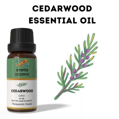 Óleo Essencial de Cedro Ananta 10 ml – Óleo Aromático Amadeirado para Difusores, Velas e Fragrância para Casa