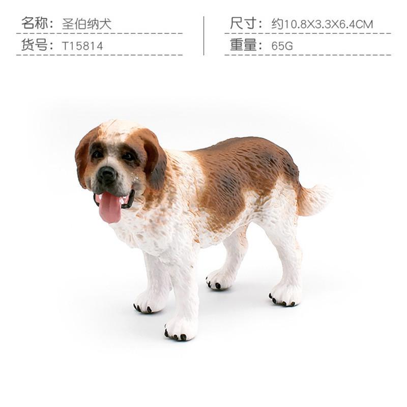Captivating Golden Retriever Corgi And Saint Bernard Models Perfect For Pet Enthusiasts