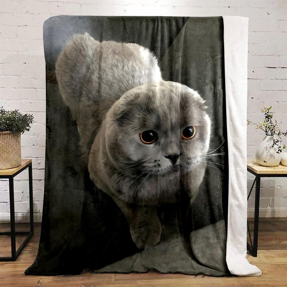 Rundes Gesicht Scottish Fold Katze Decke Schlafzimmer Decke für Wohnzimmer Sofa Mittagspause Weicher Überwurf für Freundes Festival Geschenk