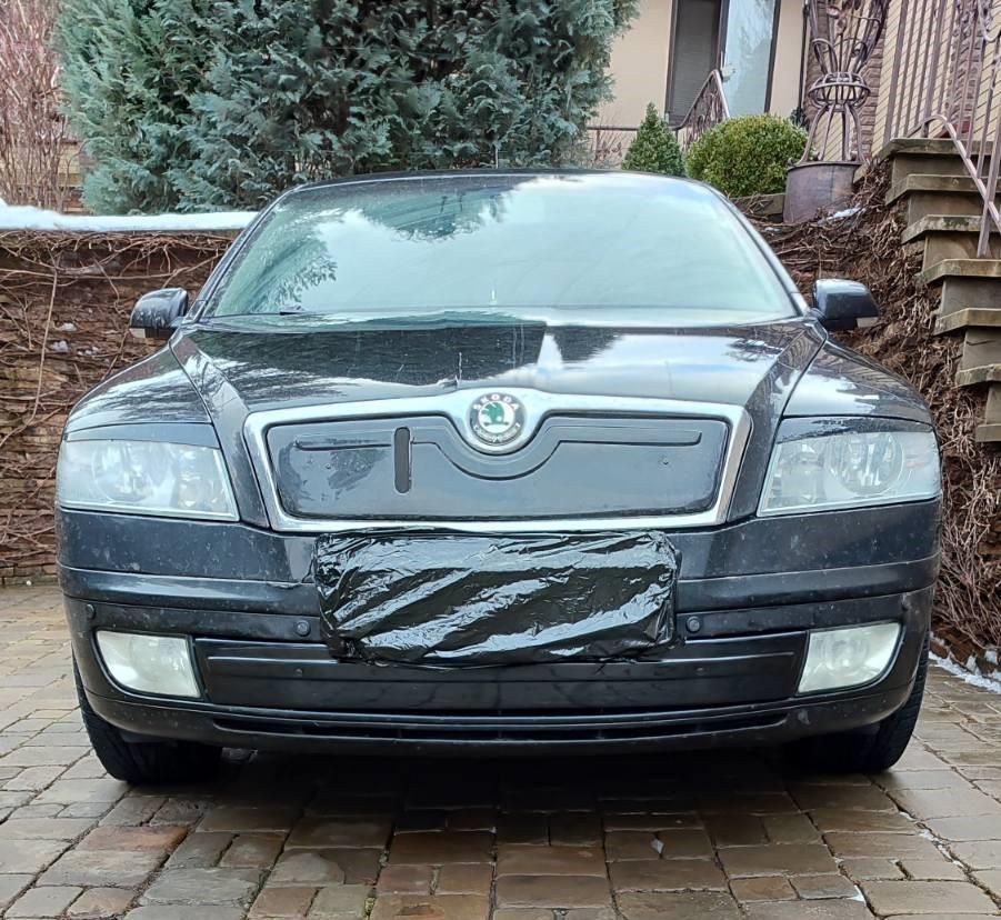 

Winter grille (lower) Glossy for Skoda Octavia II A5 2006-2010