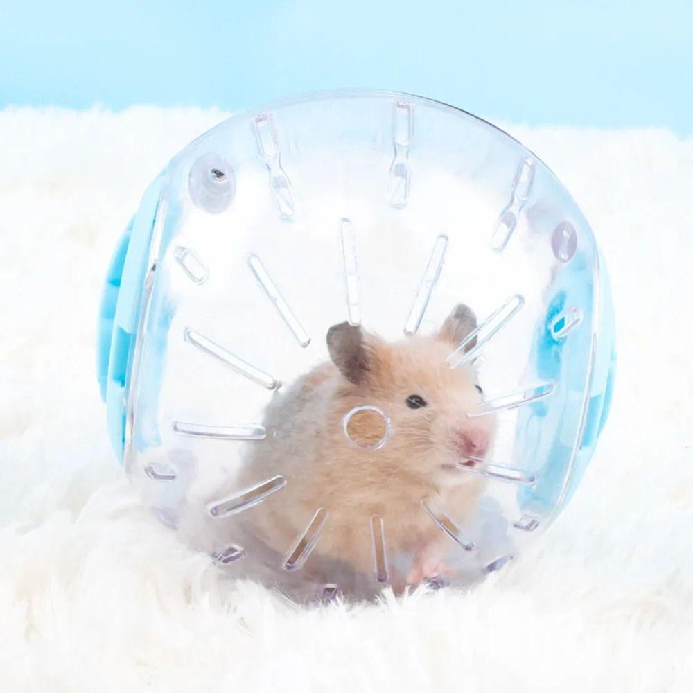 Plastic Outdoor Sport Ball Rat Toy Small Play Supplies