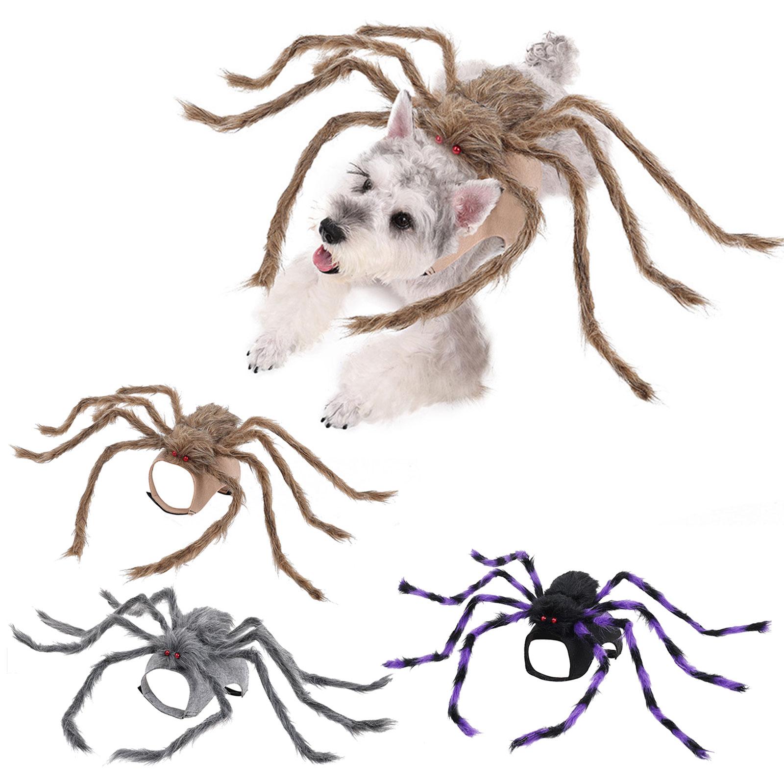 

Кошки Собаки Забавные Пауки Косплей Животное Костюм Арахнид Мягкий Удобный Костюм Аксессуары Одевание S серый