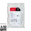 Seagate IronWolf Pro NAS Hard Drive