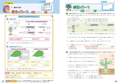 Elementary School Textbook Work Science 6th Grade Education Publishing Edition