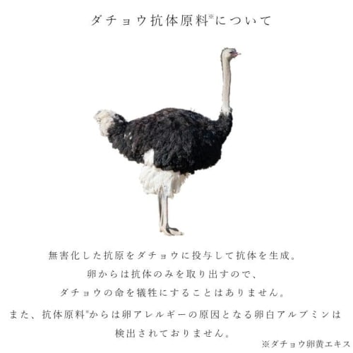 SORB'S Toothpaste Mint, 120g X 2 Bottles