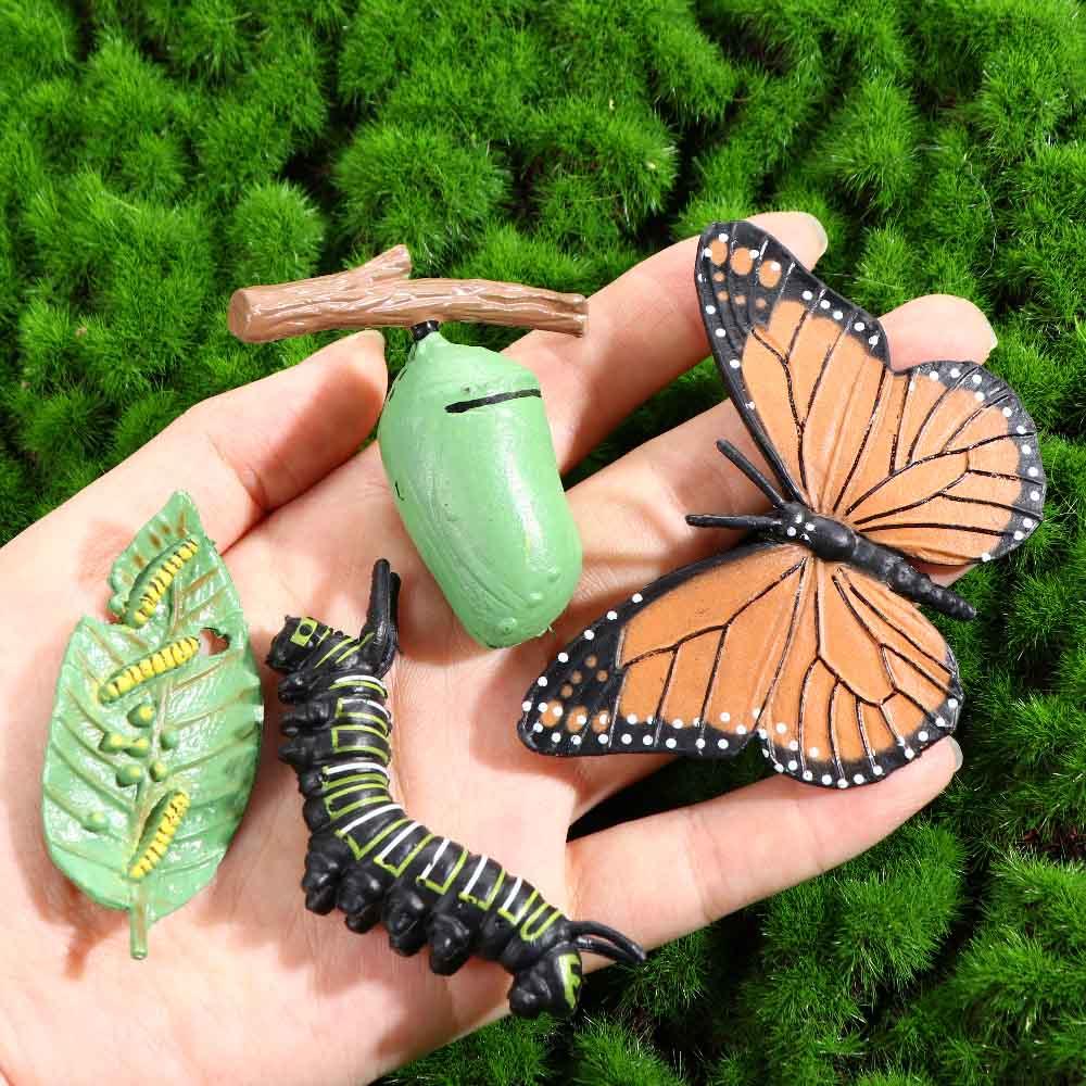Butterfly Growth Cycle Action Figures Growth Cycle Model Life Cycle Figurine Simulation Animals