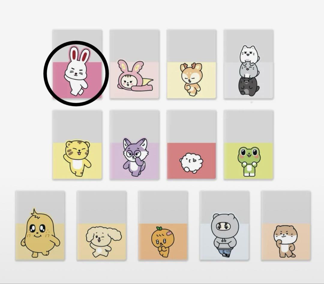 

[USED] MINITEEN Passport Cover CHOITCHERRY (Not sold in Japan)