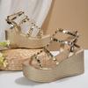 Fashion Women Wedge Sandals Summer New Platform High Heels Sandals Women Designer Open Toe Solid Color Wedges Sexy Runway Party Shoes