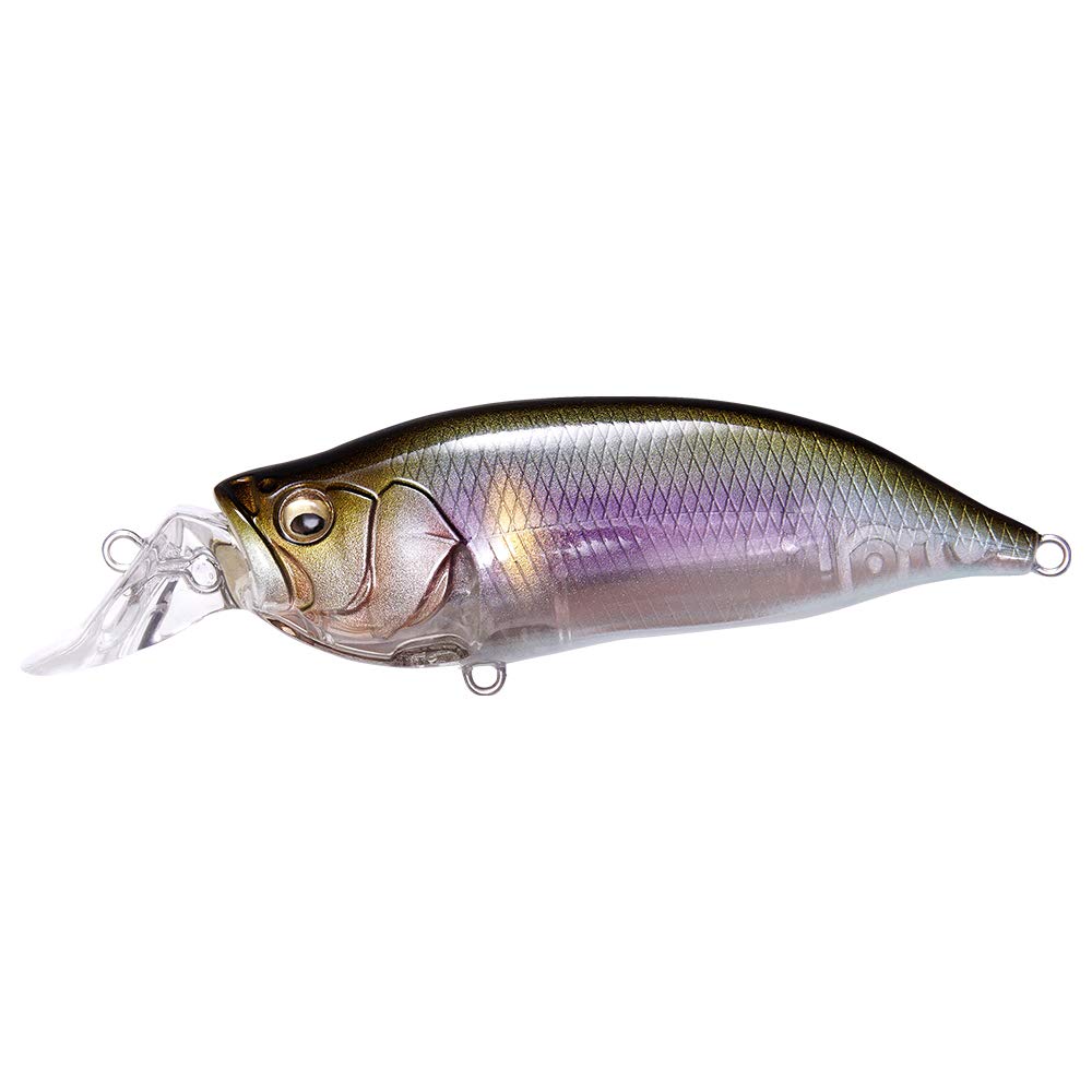 

Megabass Lure IXI SHAD ITO Ayu TYPE-R