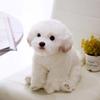 Pets Fluffy Maltese Plush Toy Stuffed Animal Puppy Dog Plush Maltese Stuffed Dog  Children Toy