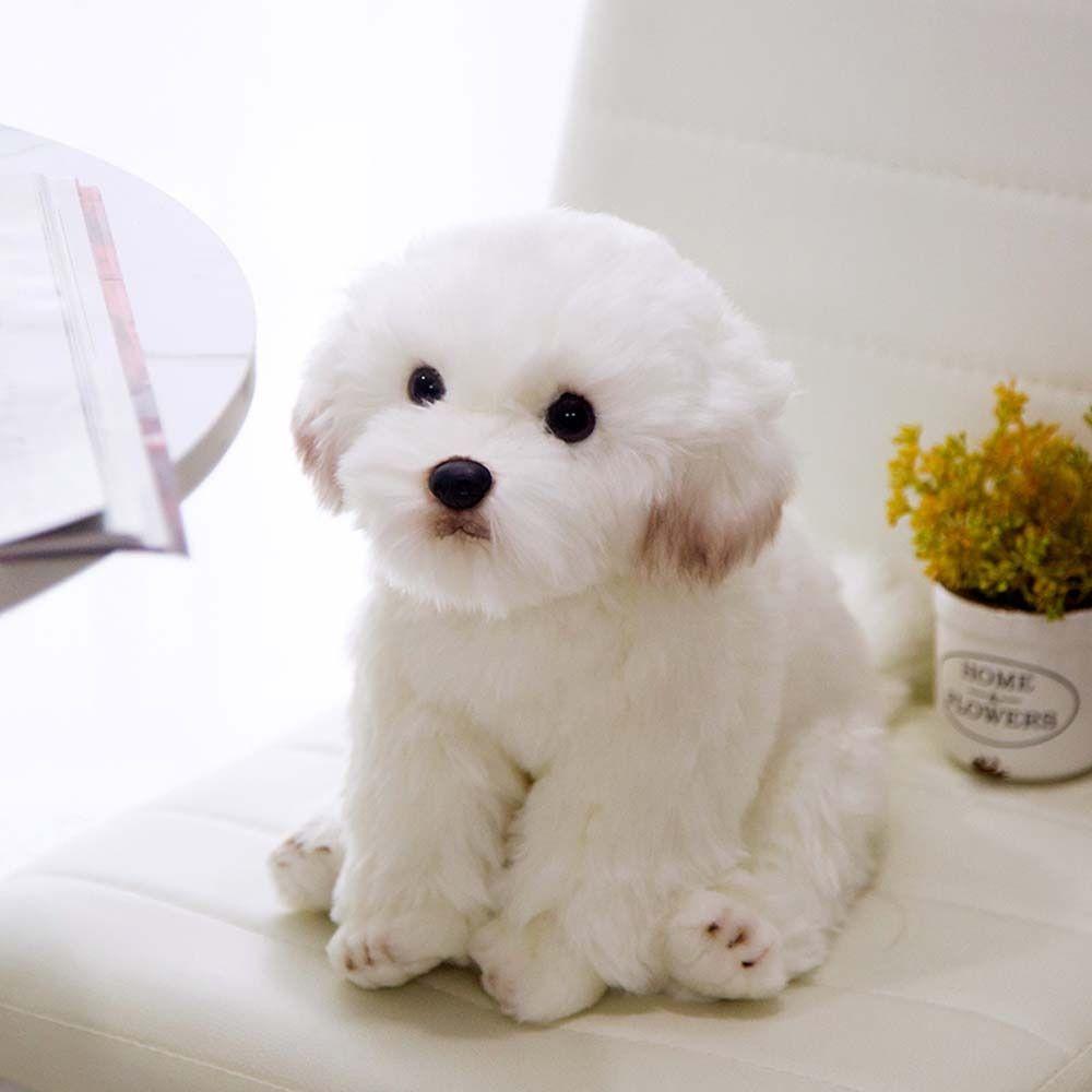 Pets Fluffy Maltese Plush Toy Stuffed Animal Puppy Dog Plush Maltese Stuffed Dog  Children Toy