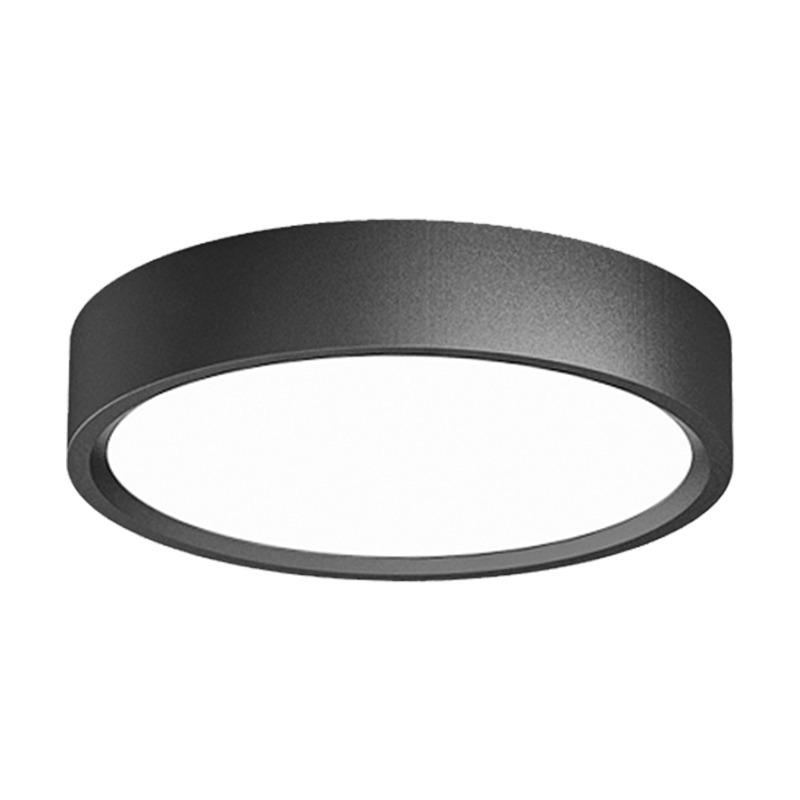 Round Surface-Mounted LED Ceiling Light for Living Room, Bedroom, Entrance, Corridor, Aisle, Home Spotlight