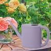 Plant Watering Can 1L Portable Watering Pot Household Transparent Watering Pot Garden Watering Pot Tool For Balcony Patio