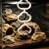 Magnetic Hanging Reptile Climbing Ring Plastic Climbing Hoop Chain Snake Climbing Toys